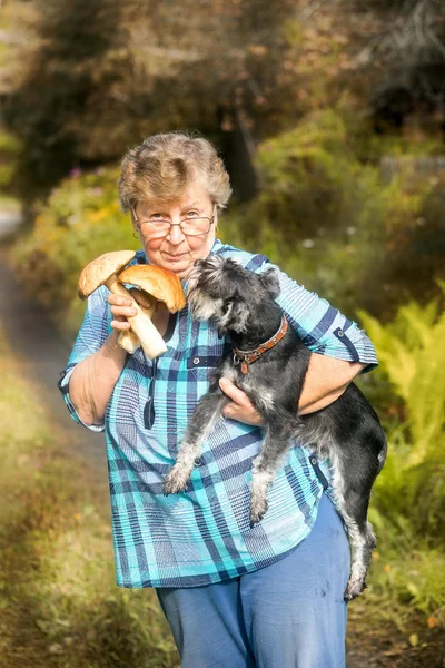 Περήφανοι μανιτάρι αναζητητής ηλικιωμένη γυναίκα με schnauzer σκύλο σχετικά με τα χέρια της — Φωτογραφία Αρχείου