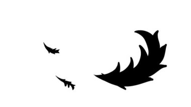 Rüzgarda dönen yapraklar, siyah üzerine siyah, siyah arka planda beyaz, hareketli el geçişi. Bunları luma matte olarak kullanabilirsiniz, yükleme kipinde video arasında geçiş. 