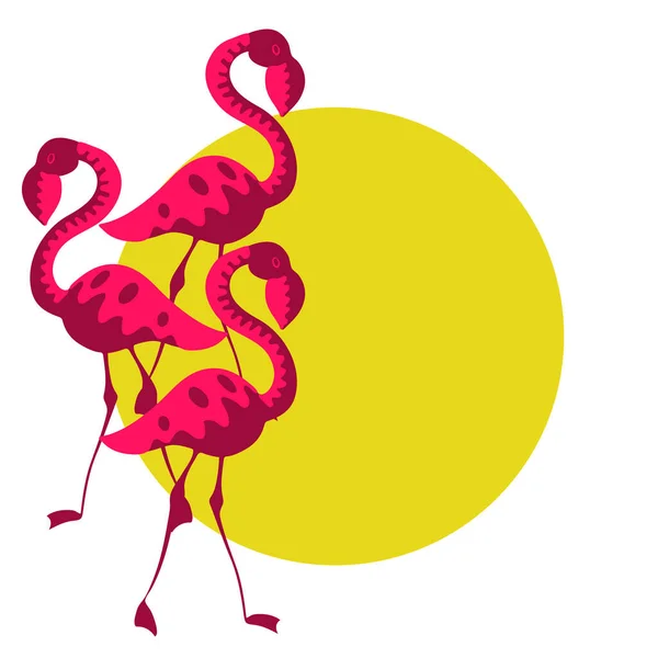 Flamingo Und Sonne Mit Kopierraum Eps10 Vektorillustration Isoliert Auf Weiß — Stockvektor