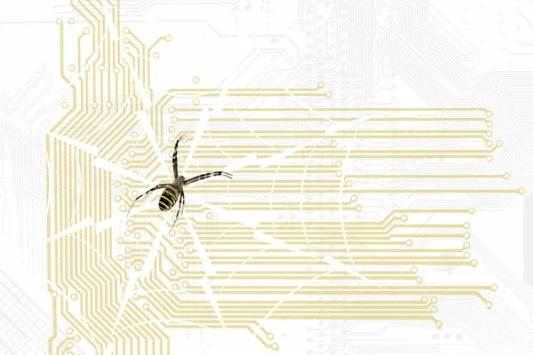 Πληροφορική Μητρική Πλακέτα Εννοιολογικό Σχέδιο Σιλουέτα Ιστό Αράχνης Και Αράχνη — Φωτογραφία Αρχείου