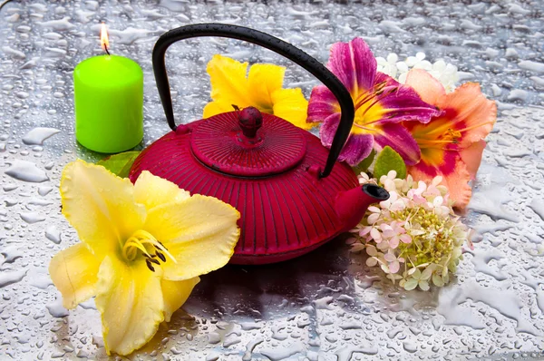 Ceremonia del té: maceta con flores en un día lluvioso —  Fotos de Stock