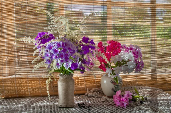 Två violett och rosa phlox buketter — Stockfoto