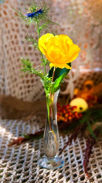 Yellow rose and blue immortelle still life — Stock Photo, Image