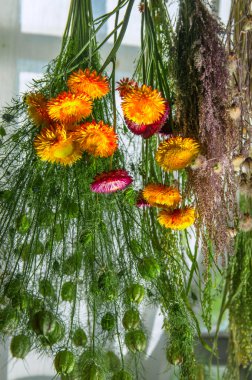 kurutma çim ve çiçek