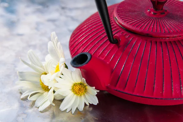 Panela de chá com flores de camomilias — Fotografia de Stock