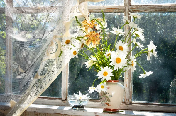 Bouquet of chamomilie flowers on the window sill — Stock Photo, Image