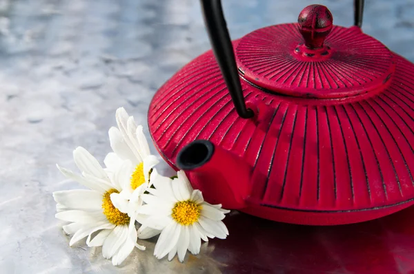 Chá de camomila natural em um bule de chá com flores — Fotografia de Stock