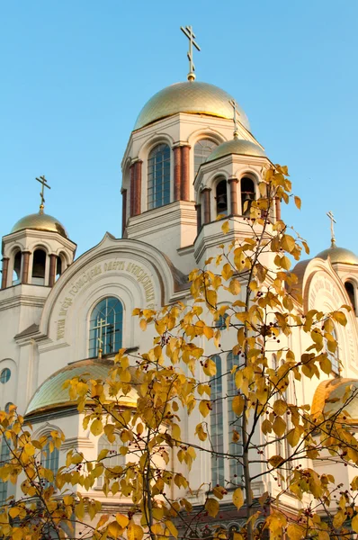 Terme Krovi Cattedrale Ekaterinburg Russia — Foto Stock