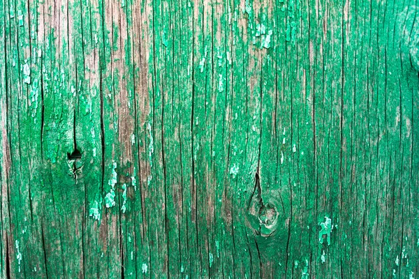Houten textuur van groene kleur — Stockfoto