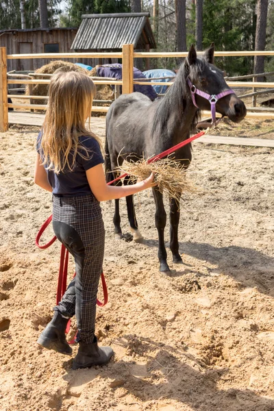 Veulen en jockey - klein meisje en haar beste vriendin — Stockfoto