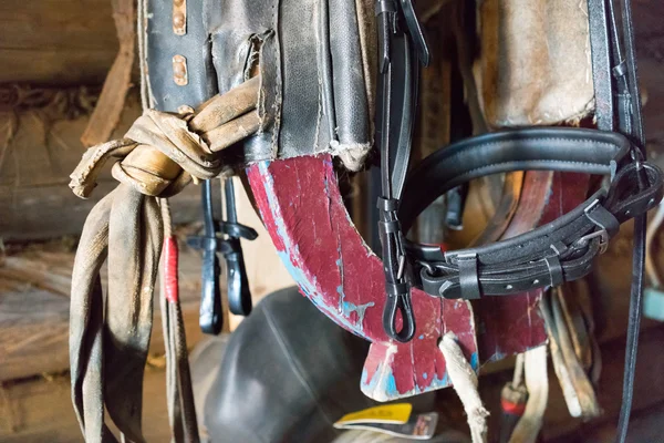 Stable horse equipment in a tack room — Stock Photo, Image