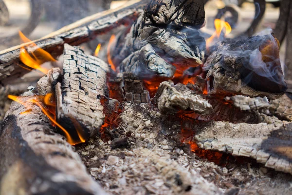 Abren fuego en la chimenea, preparar carbón — Foto de stock © vili4545