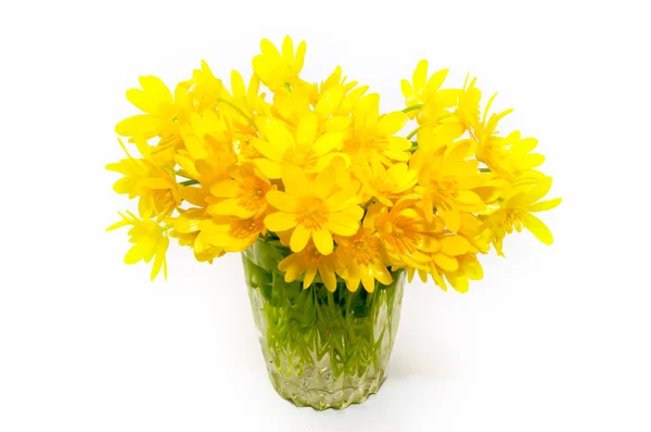 Krásná žlutá Sasanka v transparentní váza izolovaných na bílém — Stock fotografie