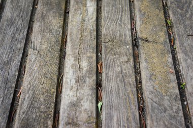 Tahta döşeme dokusu