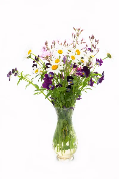 Camomile and wild flowers bouquet on a white background — Stock Photo, Image