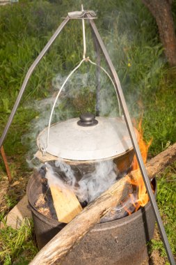 vahşi kamp, kamp ateşi gıda hazırlama