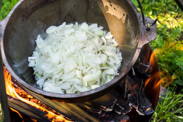 Cooking in metal pan on campfire - frying onion — Stock Photo, Image