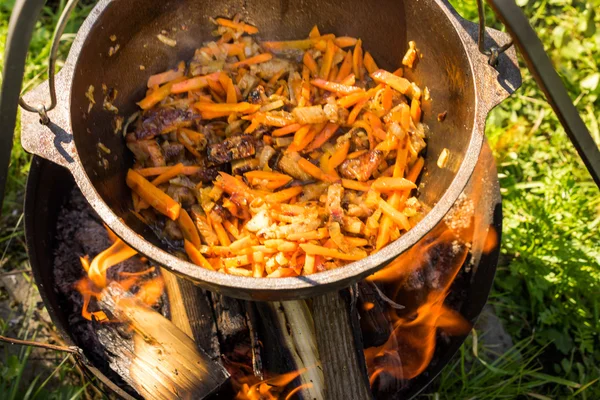 Close up view of cooking meat, onion and carrot in a metal pan in a campfire — Stock Photo, Image