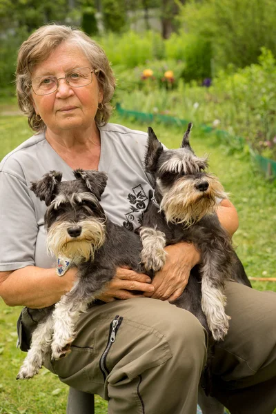 Senior woman hugs her two pets, black and silver miniature schnauzer dog in countryside — 图库照片