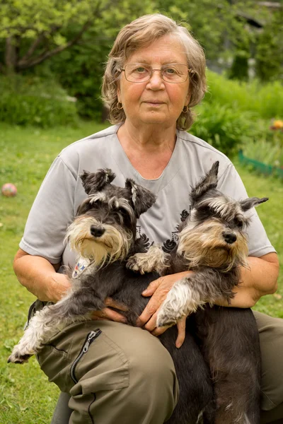Senior woman hugs her two pets, black and silver miniature schnauzer dog in countryside — Φωτογραφία Αρχείου