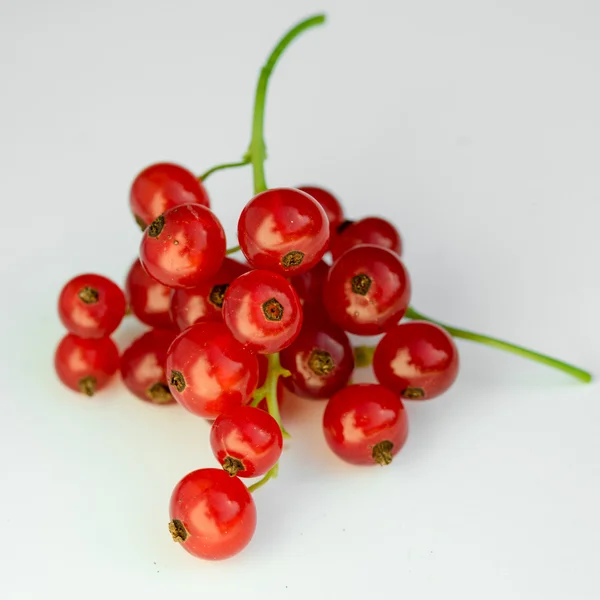 Grosella roja madura sobre fondo blanco — Foto de Stock