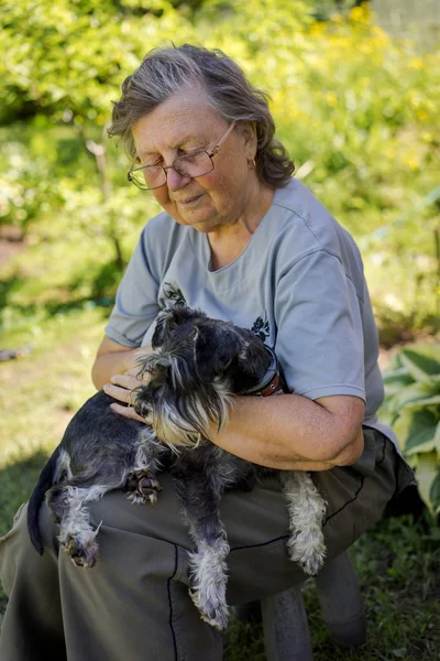 Ανώτερος 70s γυναίκα που κρατά το μαύρο και ασημί μίνι schnauzer σκύλο κάθεται εξωτερική — Φωτογραφία Αρχείου