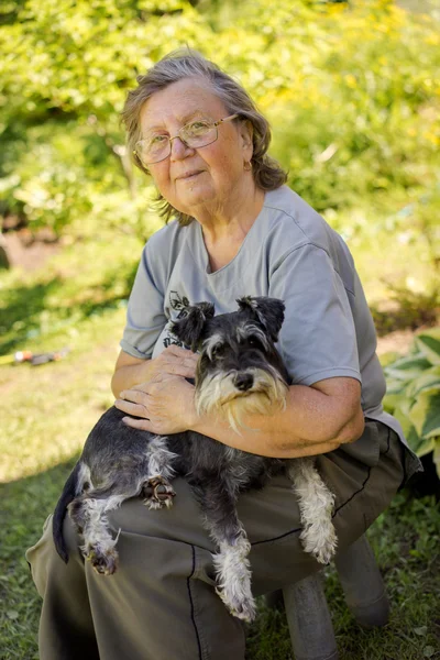 Ανώτερος 70s γυναίκα που κρατά το μαύρο και ασημί μίνι schnauzer σκύλο κάθεται εξωτερική — Φωτογραφία Αρχείου
