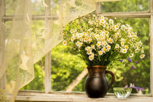 Still life bukett av chamomiles på en fönsterbräda i en solig regnig dag — Stockfoto