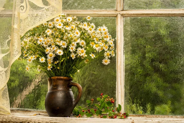 Nature morte bouquet de camomilles sur un rebord de fenêtre par une journée pluvieuse ensoleillée — Photo