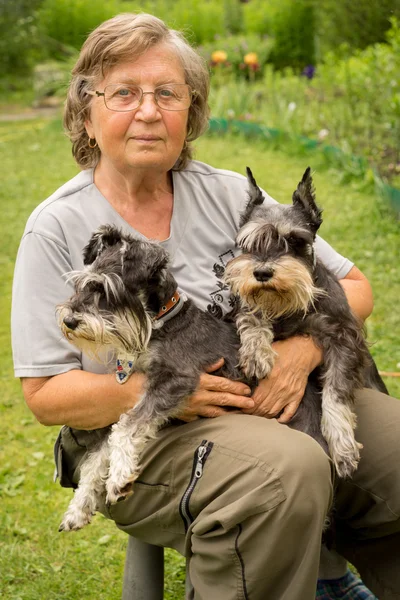 Ανώτερος ευτυχισμένη γυναίκα με γυαλιά και δύο μαύρο και ασημί μινιατούρα schnauzer σκύλων σε έναν κήπο — Φωτογραφία Αρχείου