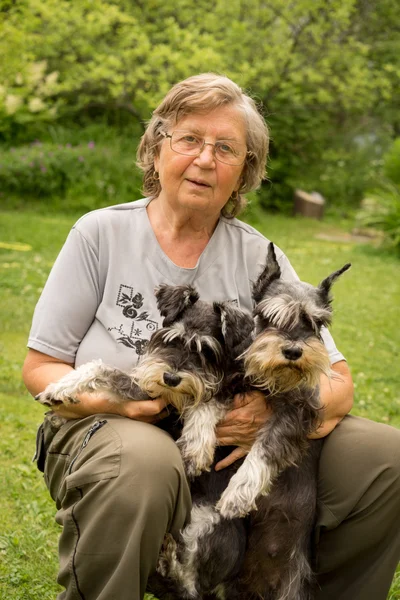 高级幸福的女人，戴着眼镜，两个黑色和银色迷你雪纳瑞狗在花园里 — 图库照片