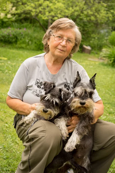 眼镜坐着两个黑色和银色迷你雪纳瑞狗在花园里快乐资深美女 — 图库照片
