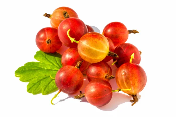 Ripe red  gooseberry with leaf isolated on white background — Stock Photo, Image