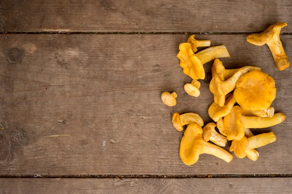 Cantharellus cibarius, vulgarmente conhecido como chanterelle, chanterelle dourado ou girolle, é um fungo. Cogumelos em fundo de madeira . — Fotografia de Stock