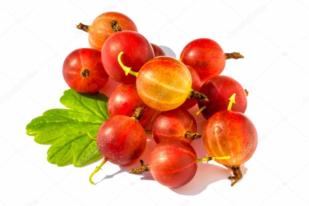 Ripe red  gooseberry with leaf isolated on white background