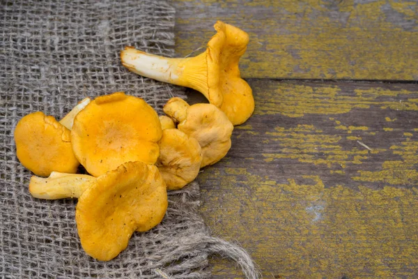 Свіжі гриби лисички на дерев'яному фоні з копійкою — стокове фото