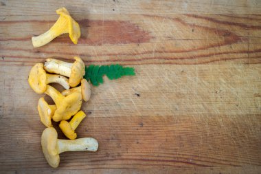 Ahşap zemin üzerine sarı Cantharellus cibarius