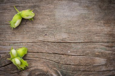 eski ahşap arka plan kopya alanı metni ile köşesinde yeşil fındık