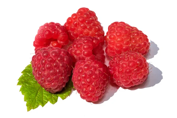 Raspberry fruit met blad takje, geïsoleerd op witte achtergrond — Stockfoto