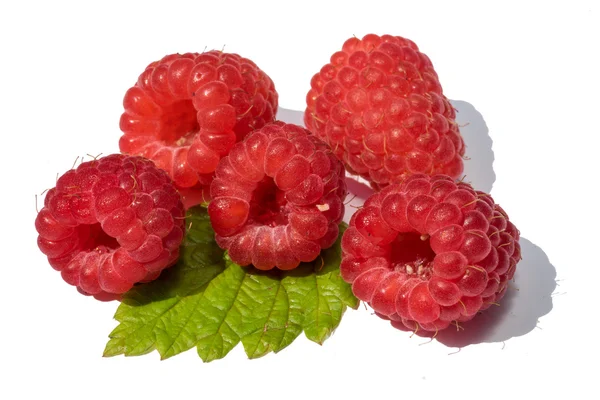 Raspberry fruit met blad takje, geïsoleerd op witte achtergrond — Stockfoto