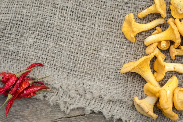 Chantarelles and chilly pepper over oak board — Stock fotografie