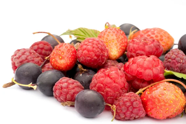 Gezond eten concept: verschillende verse bessen, aardbeien, frambozen, zwarte krenten en grossberies macro schot — Stockfoto