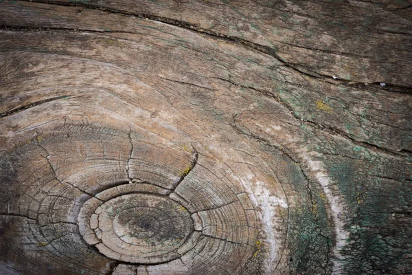 Oude natuurlijke houten achtergrond — Stockfoto