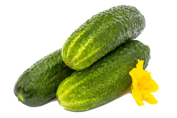 Fresh cucumbers with yellow flower isolated on white — Stock Photo, Image