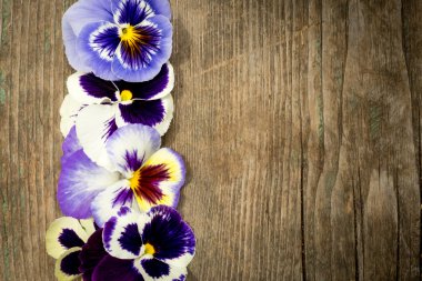 Homo çiçekler ile ahşap arka plan