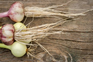 Soğan ve sarımsak ahşap arka plan üzerinde