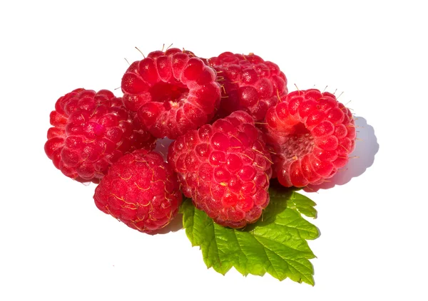 Raspberry fruit met blad takje, geïsoleerd op witte achtergrond — Stockfoto