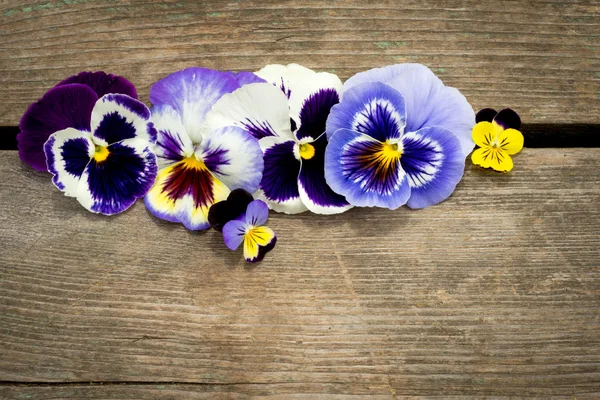 Houten achtergrond met pansy bloemen — Stockfoto