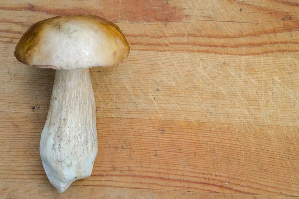 Болетус Гриб на деревянном фоне. Осенний Сепский гриб — стоковое фото