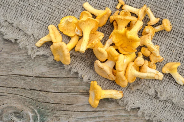 Cogumelos chantarelle dourados em uma mesa de madeira — Fotografia de Stock